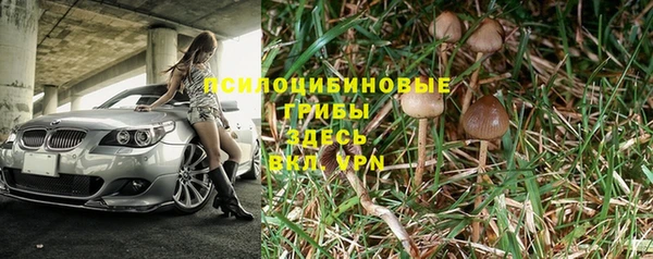 apvp Магадан