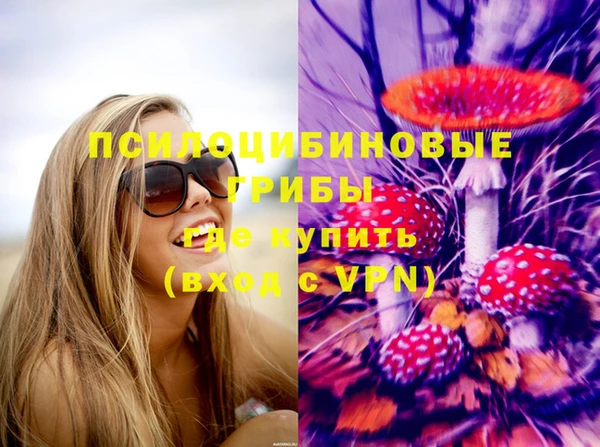 круглые Магас