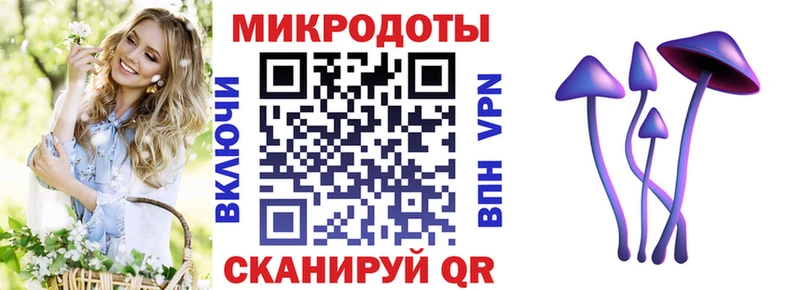 Галлюциногенные грибы Psilocybe купить наркоту Суворов